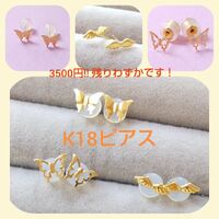 画像1033