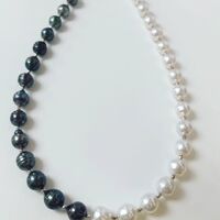 画像1049