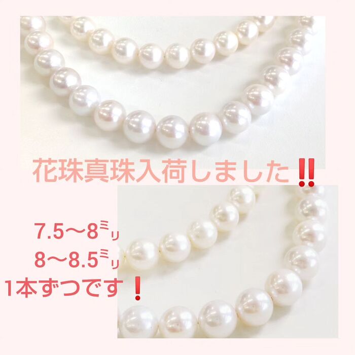 画像1138