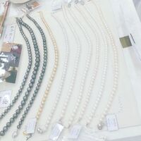 画像1182
