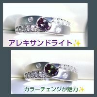画像1184