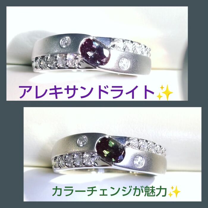 画像1184