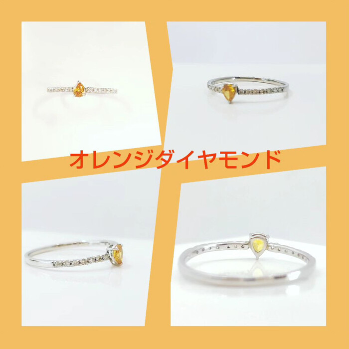 画像1297