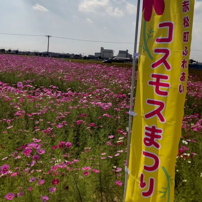 画像1365