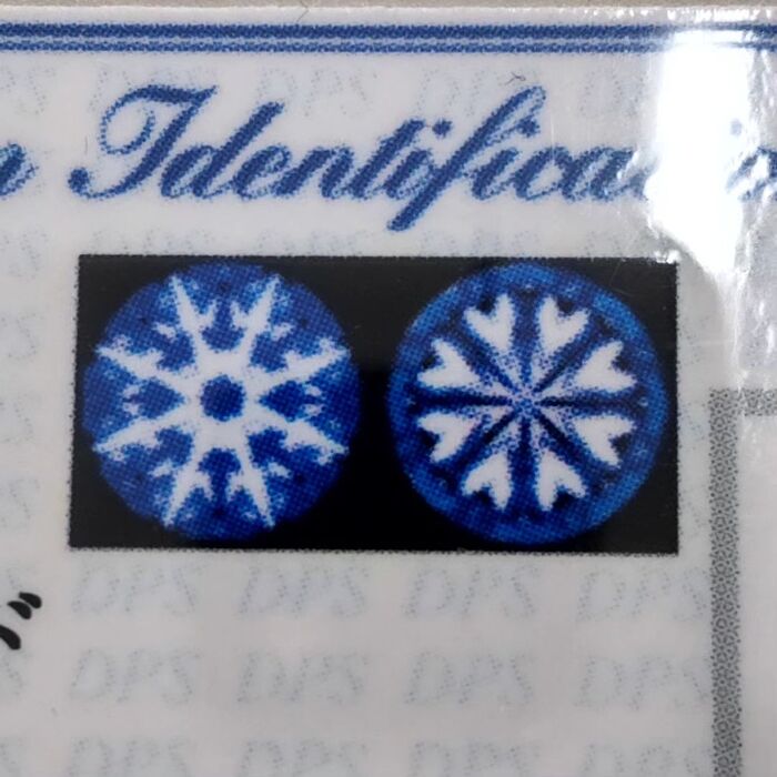 画像1515