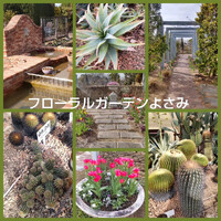 画像1581