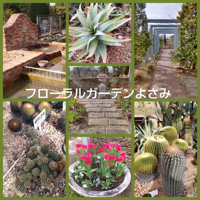 画像1581