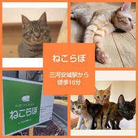 画像1636