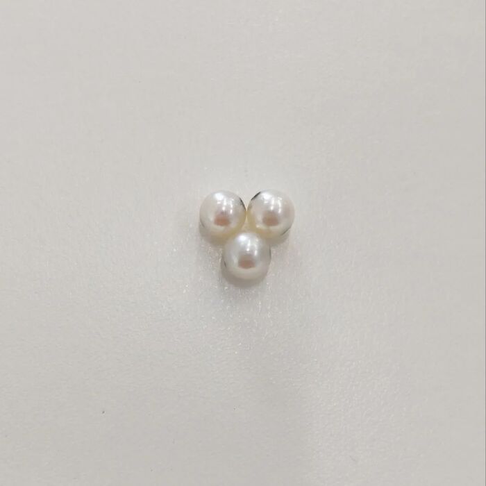 画像232