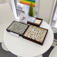 画像236
