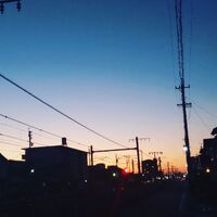 画像455
