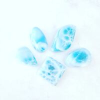 画像657